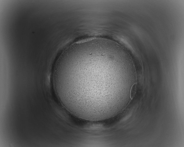 X0000089460491200706291504