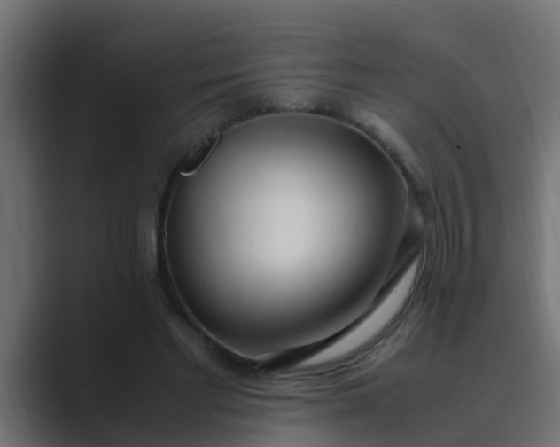 X0000089460493200706291504