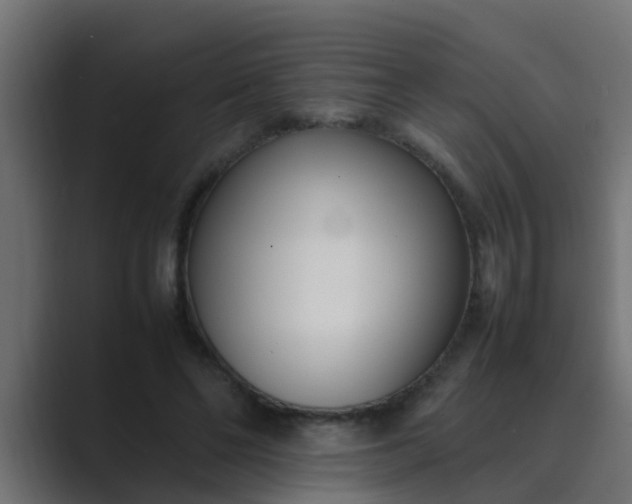 X0000089460494200706291504