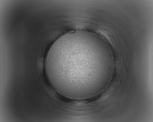 X0000089460495200706291504
