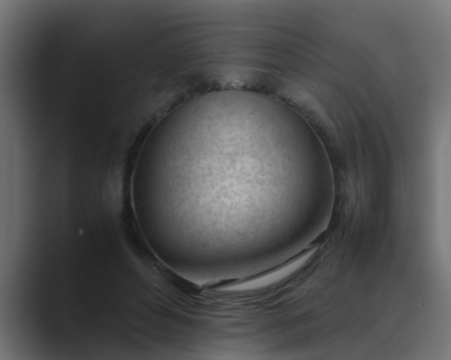 X0000089460496200706291504