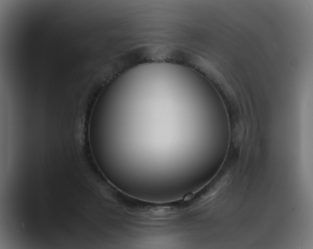 X0000089460497200706291504