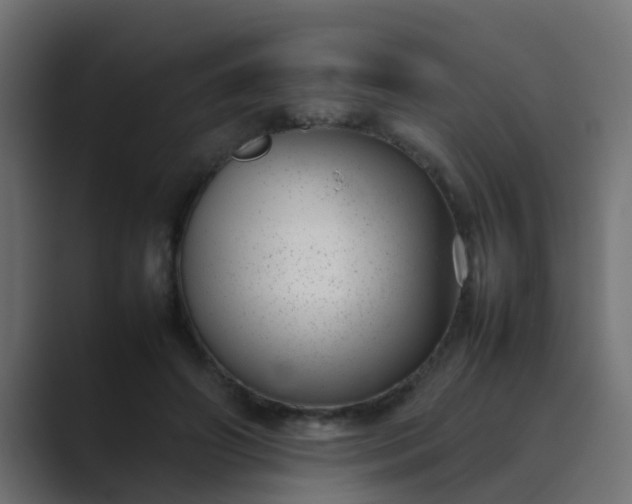 X0000089460498200706291504