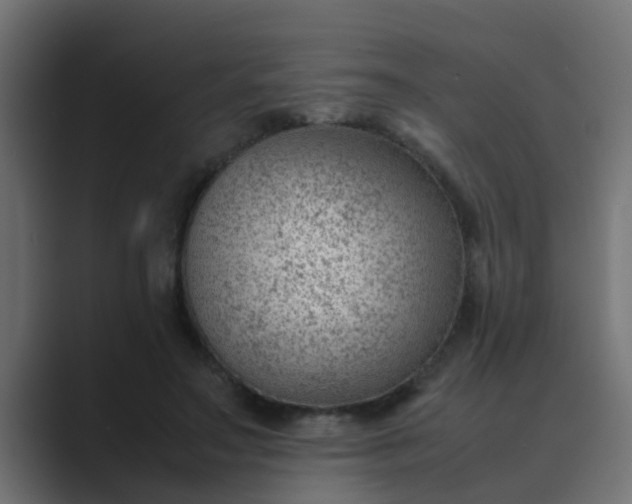 X0000089460499200706291504