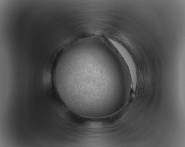 X0000089460500200706291504