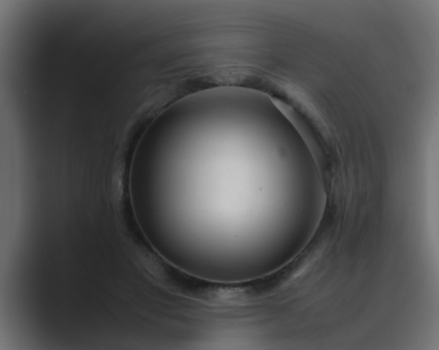X0000089460501200706291504