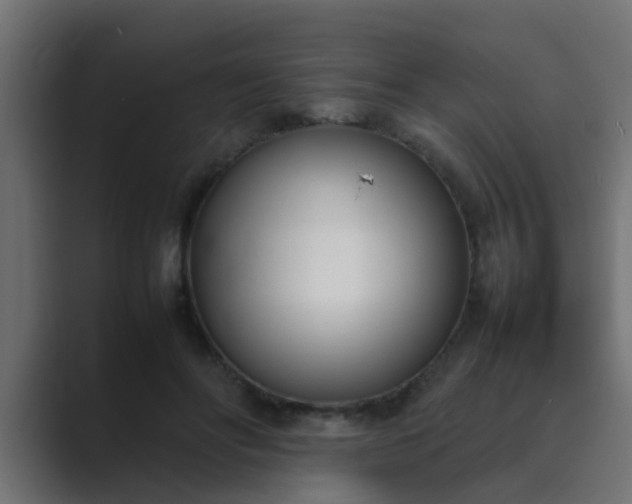 X0000089460502200706291504