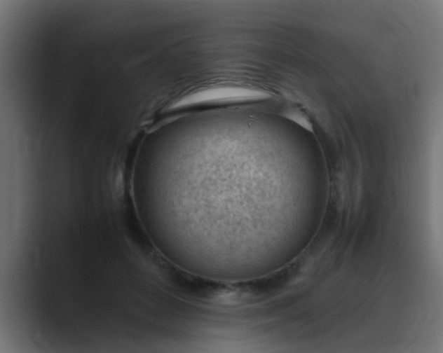 X0000089460504200706291504
