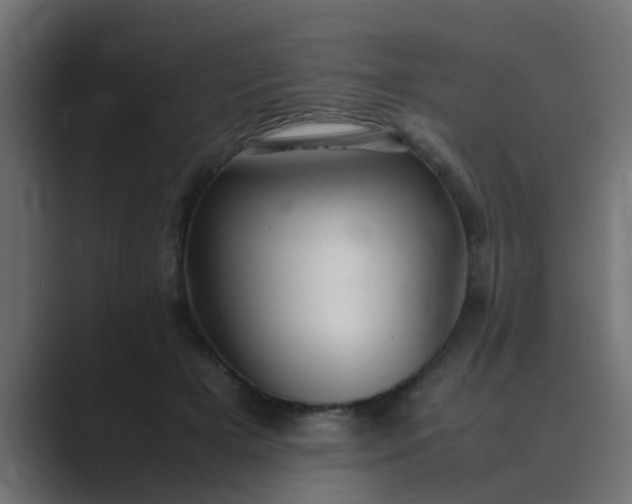 X0000089460505200706291504