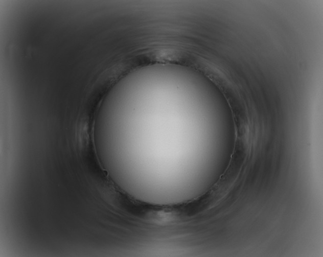 X0000089460506200706291504