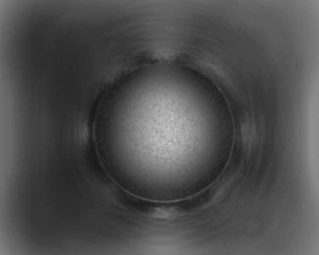 X0000089460508200706291503