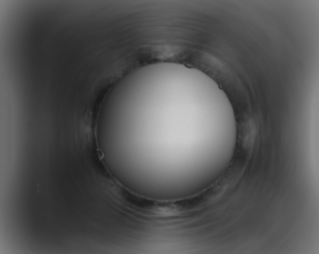 X0000089460510200706291503