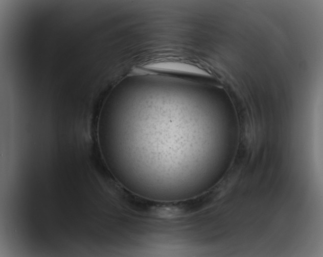 X0000089460512200706291503