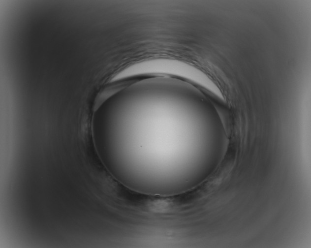 X0000089460513200706291503