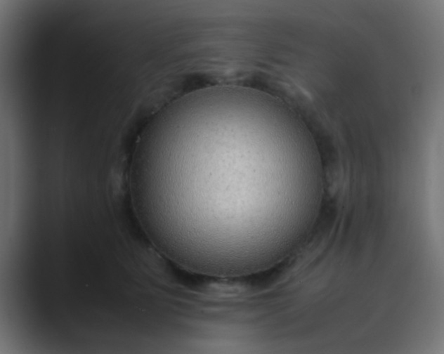 X0000089460515200706291503