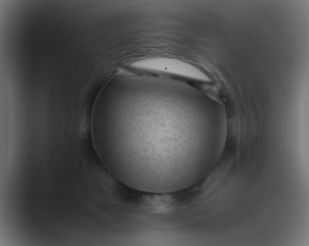 X0000089460517200706291503