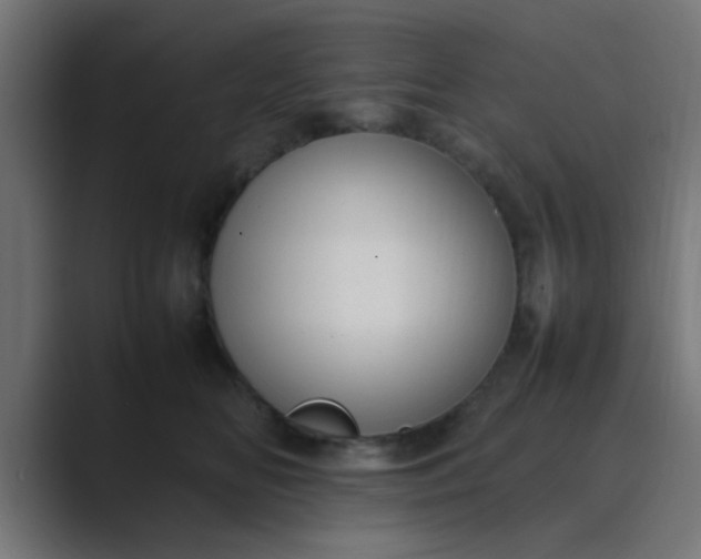 X0000089460518200706291503