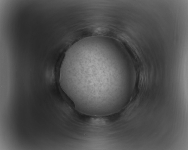 X0000089460520200706291503