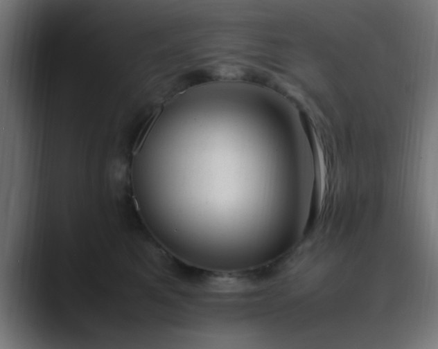 X0000089460521200706291503