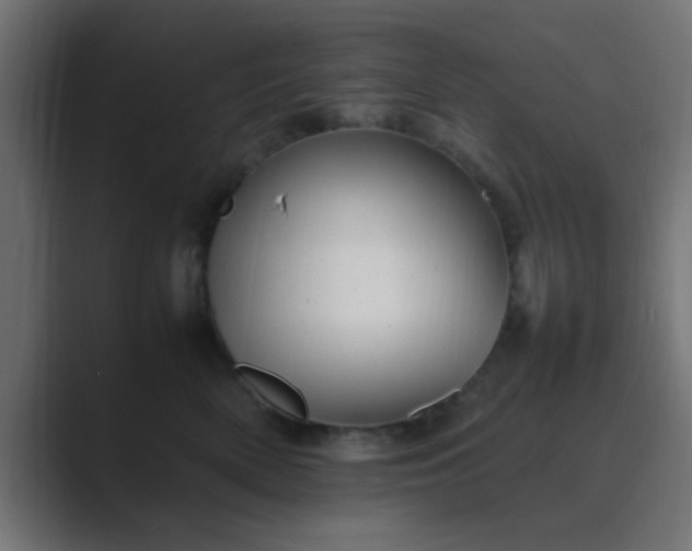 X0000089460522200706291503