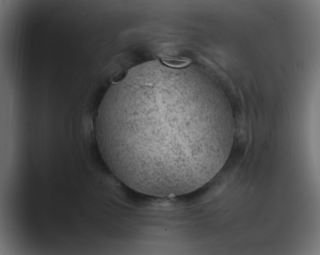 X0000089460523200706291503