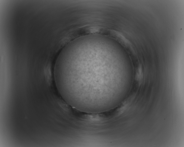 X0000089460524200706291503