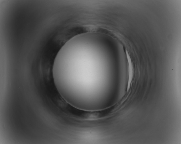 X0000089460525200706291503