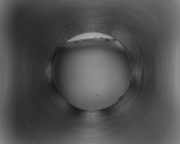 X0000089460526200706291503