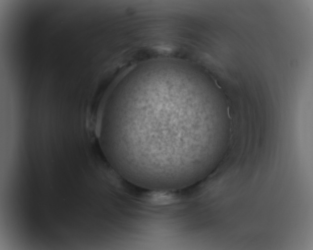 X0000089460528200706291503