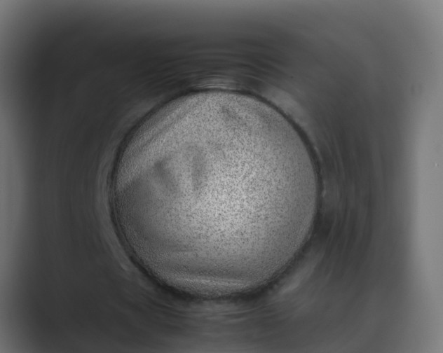 X0000089460529200706291503