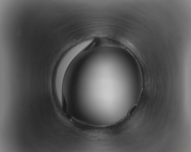 X0000089460530200706291503