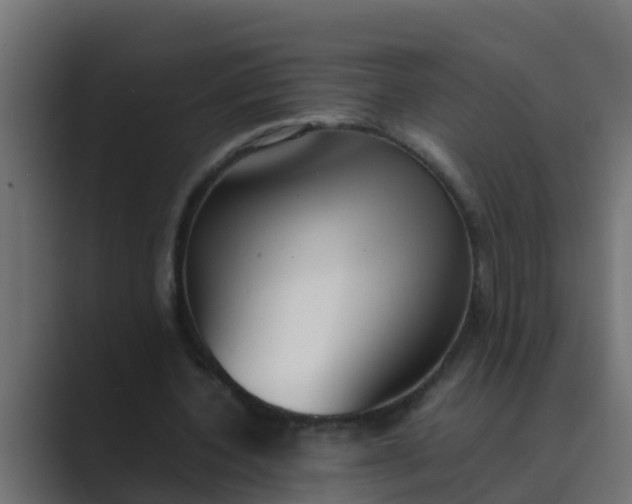 X0000089460532200706291503