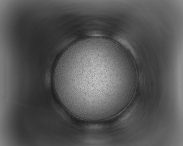 X0000089460533200706291503