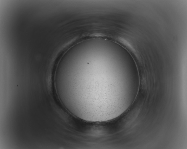 X0000089460535200706291503