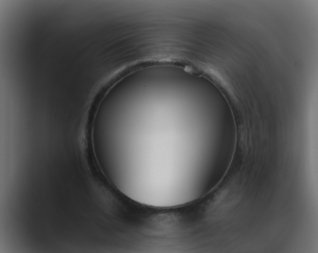 X0000089460536200706291503
