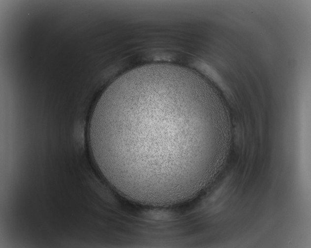 X0000089460537200706291503