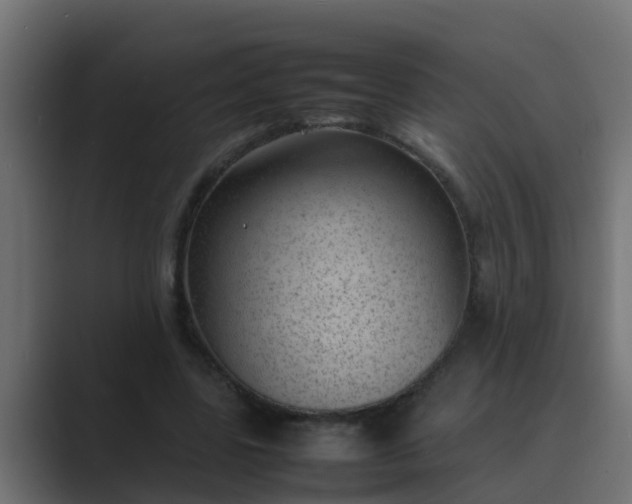 X0000089460539200706291503
