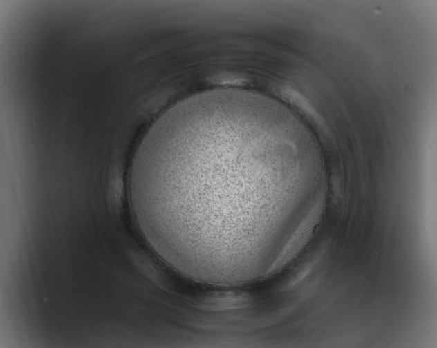 X0000089460541200706291503