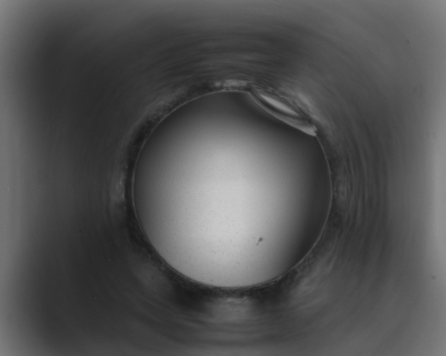 X0000089460543200706291503