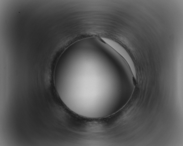 X0000089460544200706291503