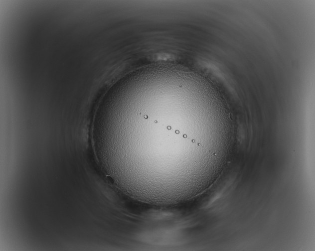 X0000089460545200706291503