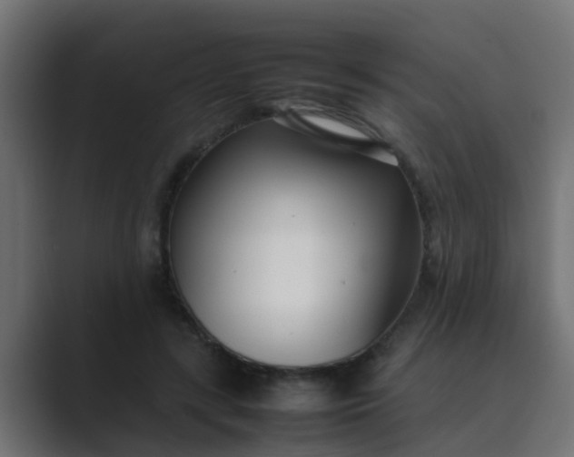 X0000089460547200706291503