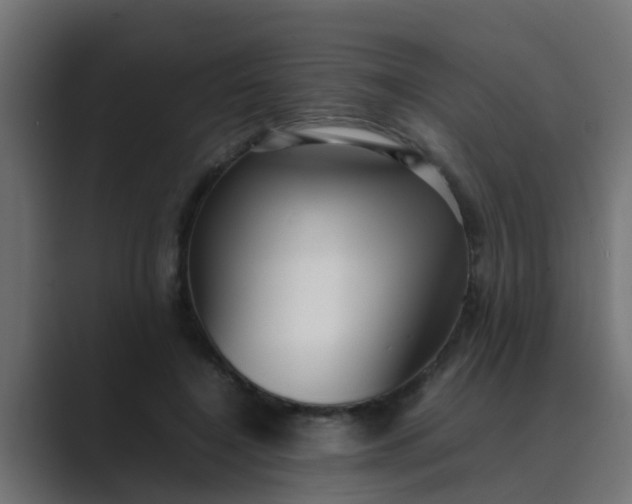 X0000089460548200706291503