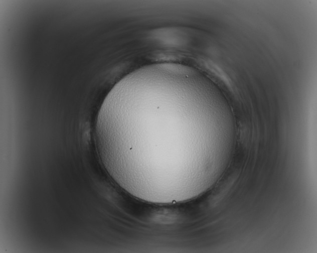 X0000089460549200706291503
