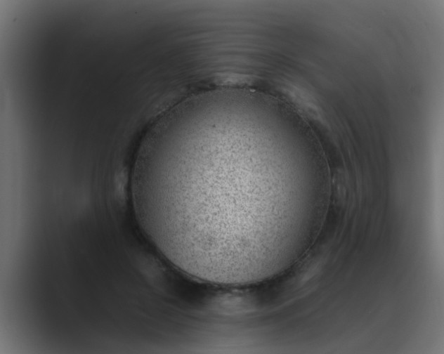 X0000089460550200706291503