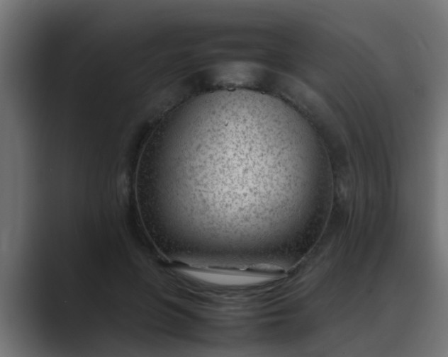 X0000089460551200706291503