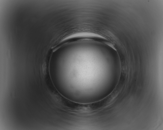 X0000089460552200706291503