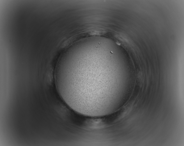 X0000089460554200706291503