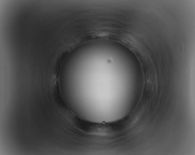X0000089460555200706291503