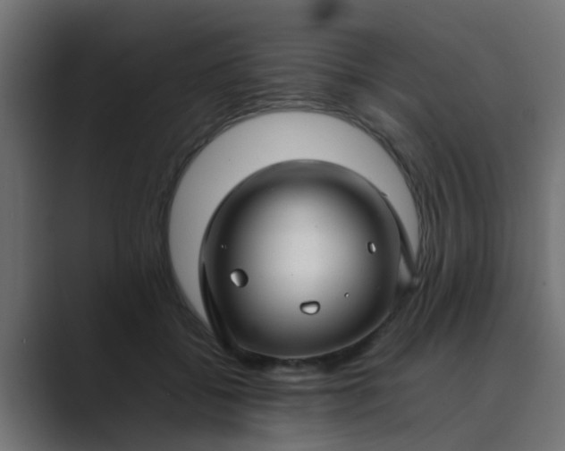 X0000089460556200706291503
